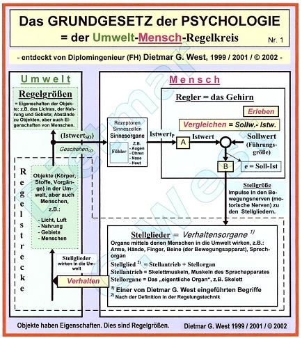 Das Grundgesetz der Psychologie  (Darstellung Nr.1)