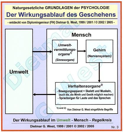 Der Wirkungsablauf Umwelt-Mensch (Darstellung Nr.3): Umweltvermittlungs- und Verhaltensorgane.