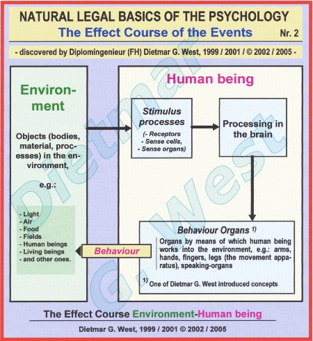 Natural-legal basics of the psychology: the effect course environment-human being (Representation 2).