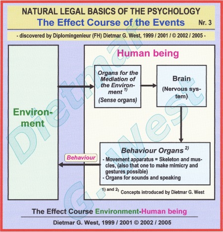 Natural-legal basics of the psychology: The effect course environment-human being --> Organs for the mediation of environment and Behaviour organs (Representation 3).
