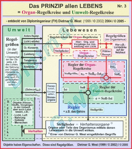 DAS PRINZIP ALLEN LEBENS (Darstellung Nr. 3. 1)