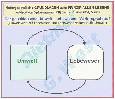 Naturgesetzliche Grundlagen zum Prinzip allen Lebens: DER GESCHLOSSENE WIRKUNGSABLAUF UMWELT-LEBEWESEN (Darstellung 0.1)