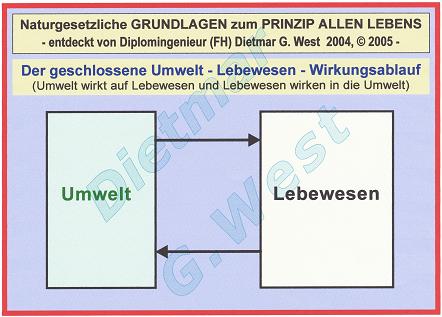 Naturgesetzliche Grundlagen zum Prinzip allen Lebens: Der geschlossene Wirkungsablauf Umwelt-Lebewesen (Darstellung 0.2)